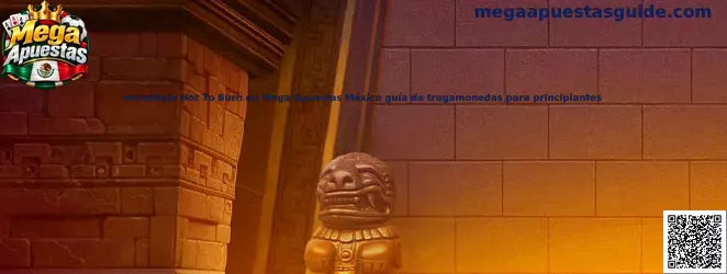 Imagen ilustrativa de la guía Hot To Burn en Mega Apuestas México para principiantes