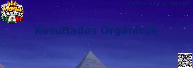 Ilustración informativa sobre resultados orgánicos y verificación de enlaces relacionados con Mega Apuestas