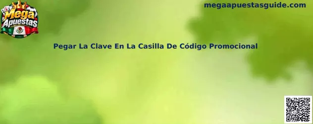 Pegar La Clave En La Casilla De Código Promocional