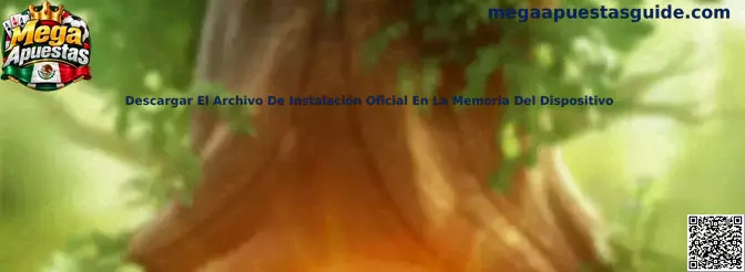 Descargar el archivo de instalación oficial en la memoria del dispositivo