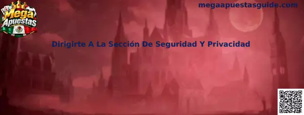 Dirigirte a la sección de seguridad y privacidad