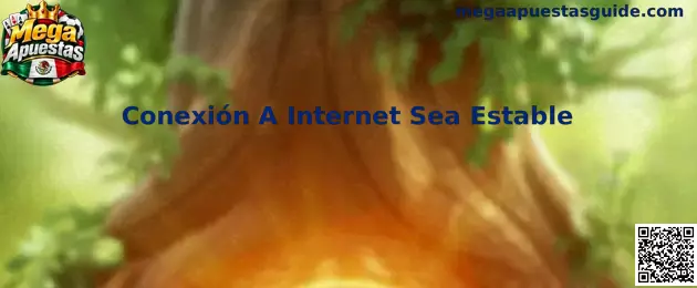 Conexión A Internet Sea Estable