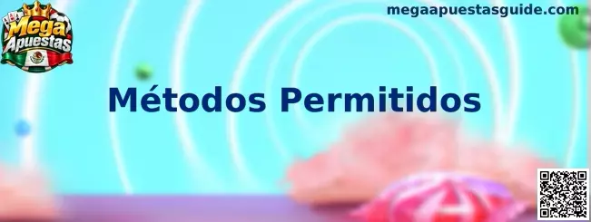 Guía de Métodos Permitidos para la verificación de identidad y la protección de cuentas en Mega Apuestas