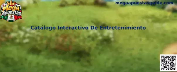 Vista ilustrativa de un catálogo interactivo de entretenimiento digital